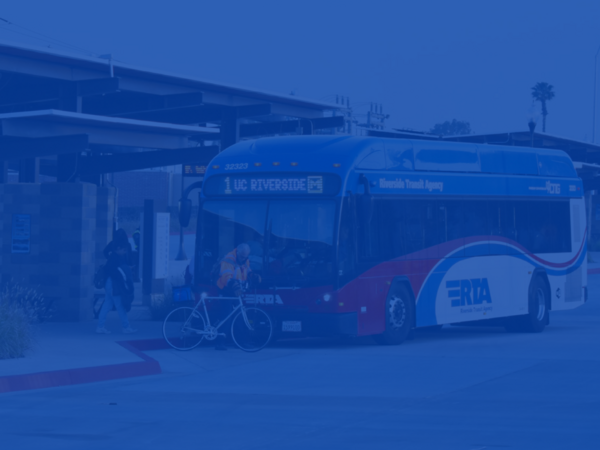 Ground view of a bus