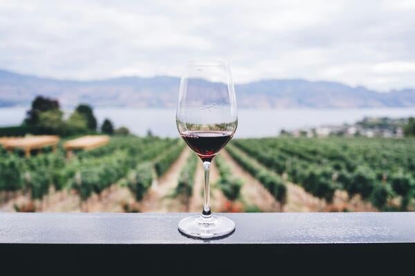 Wine glass with vineyards in the background