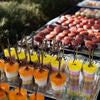Buffet selection at the welcome reception.